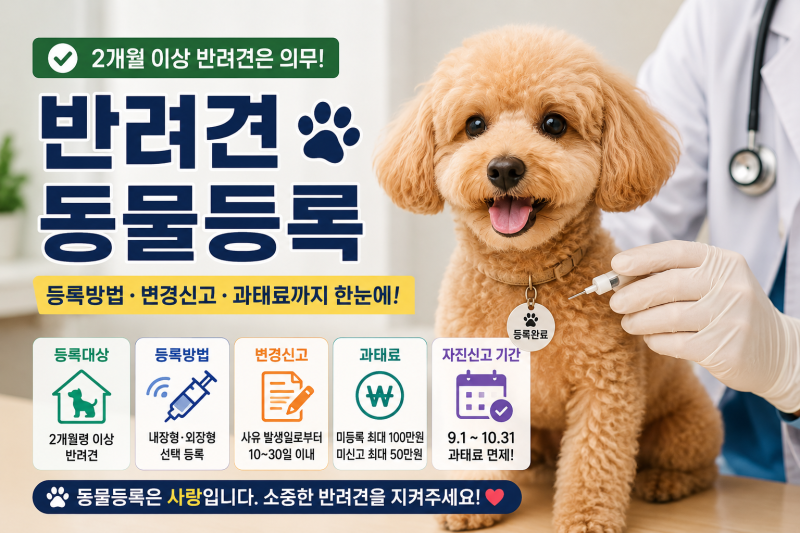 반려견 동물등록 방법, 2개월 이상 의무·변경신고·과태료까지 정리