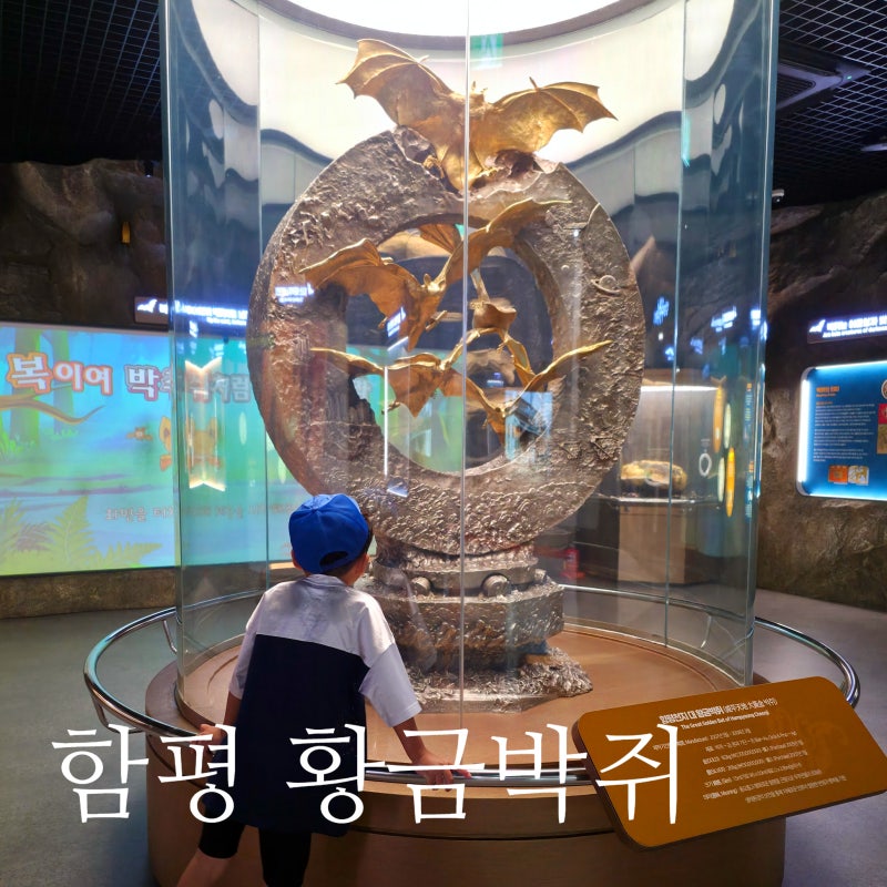 함평 황금박쥐전시관, 아이랑 가볼만한곳