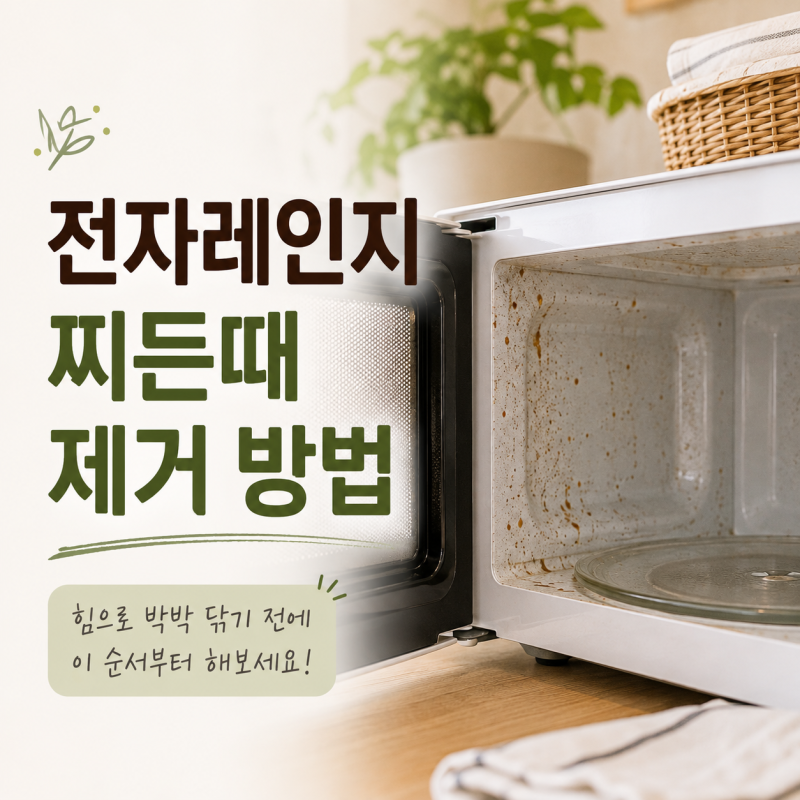 전자레인지 찌든때 제거 방법, 힘으로 닦기 전에 이렇게 해보세요
