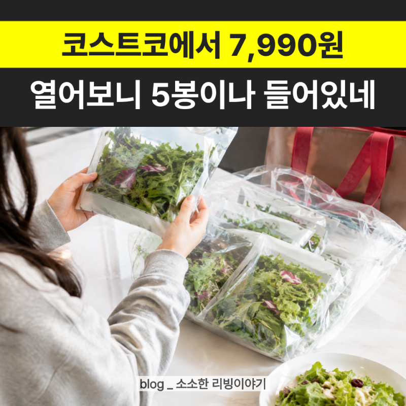 코스트코에서 "7990원" 주고 샀는데… 5봉으로 나뉜 이 샐러드 편하네요
