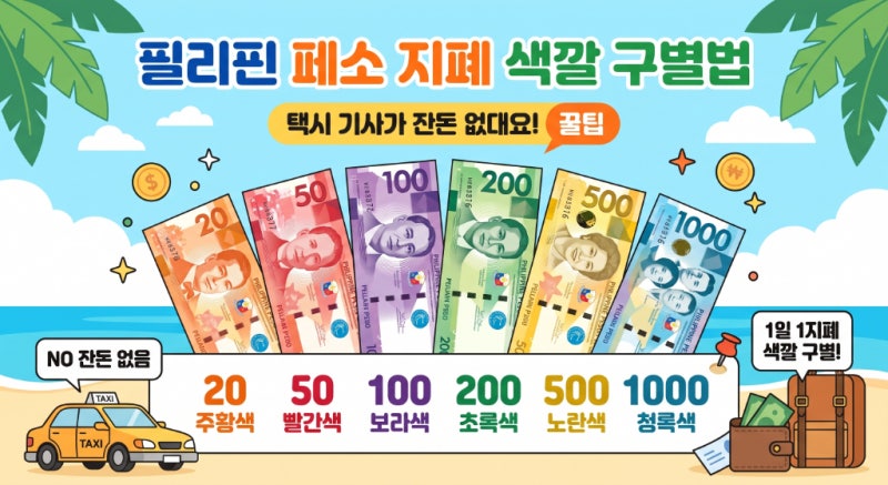 "택시 기사가 잔돈 없대요!" 필리핀 페소 환전 전 꼭 알아야 할 지폐 색깔 구별법 | SS코필TV