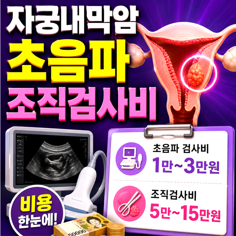 자궁내막암 초음파 조직검사비 실비, 폐경 후 검진과 진료의 차이