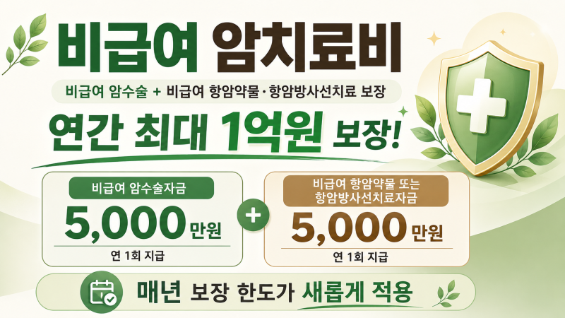 비급여 암치료비, 암수술·항암약물·방사선치료까지
