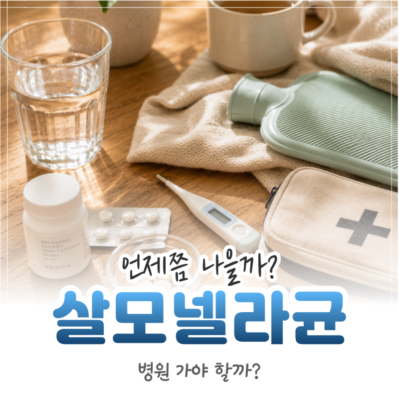 살모넬라균 증상, 언제 낫을까? 병원 가야 할 기준 정리