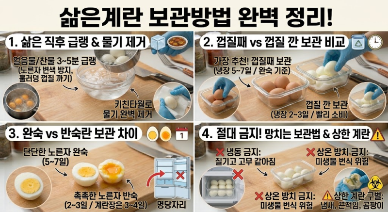 삶은 계란 보관법 완벽 정리! 껍질 유무별 냉장 보관 기간·반숙 vs 완숙·냉동 금지 이유