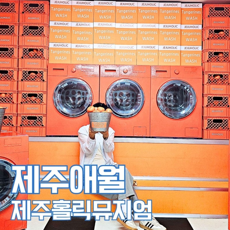 제주 실내 놀거리 볼거리 제주도 애월 여행 제주홀릭뮤지엄