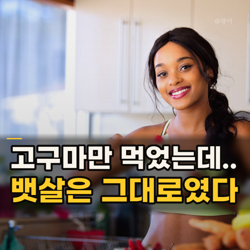 탄수화물 조절 모르면 헛고생.. 감자·고구마·밥 다이어트 진실 4가지