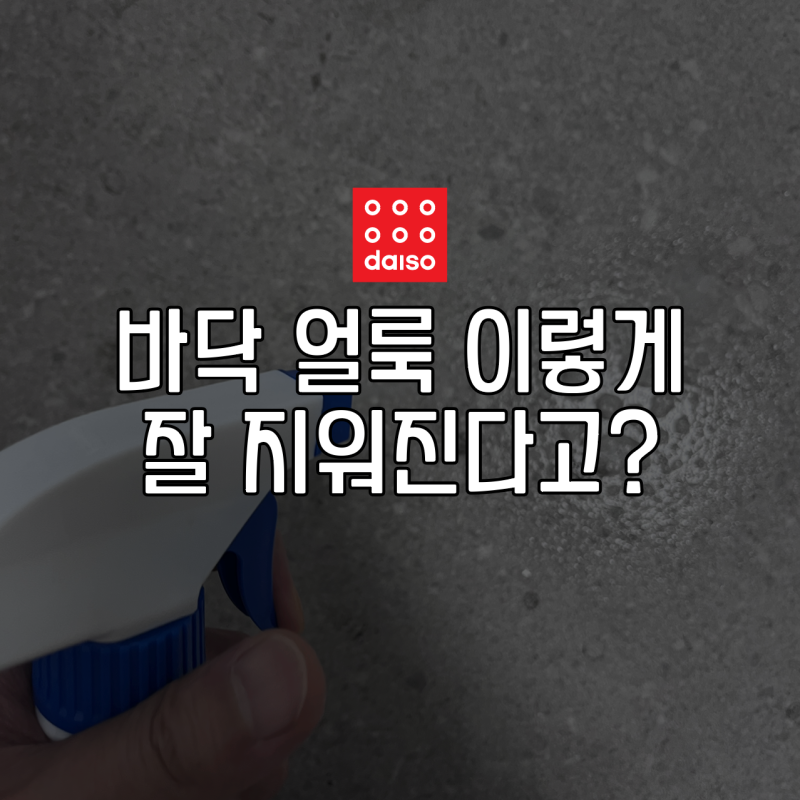 다이소 PB-1 다목적 세정제 타일 바닥 오염 청소 찐후기