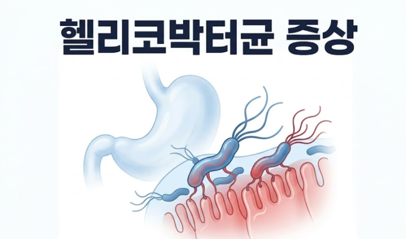 헬리코박터균, 헬리코박터균 증상, 헬리코박터균 원인