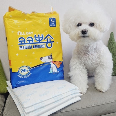코코뽀숑 올데이 프리미엄 배변패드 특대형 후기