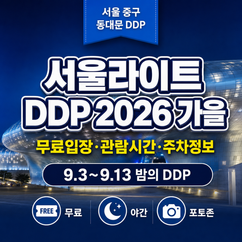 2026 서울라이트 DDP 가을 완벽 가이드 무료관람 주차는 어디?