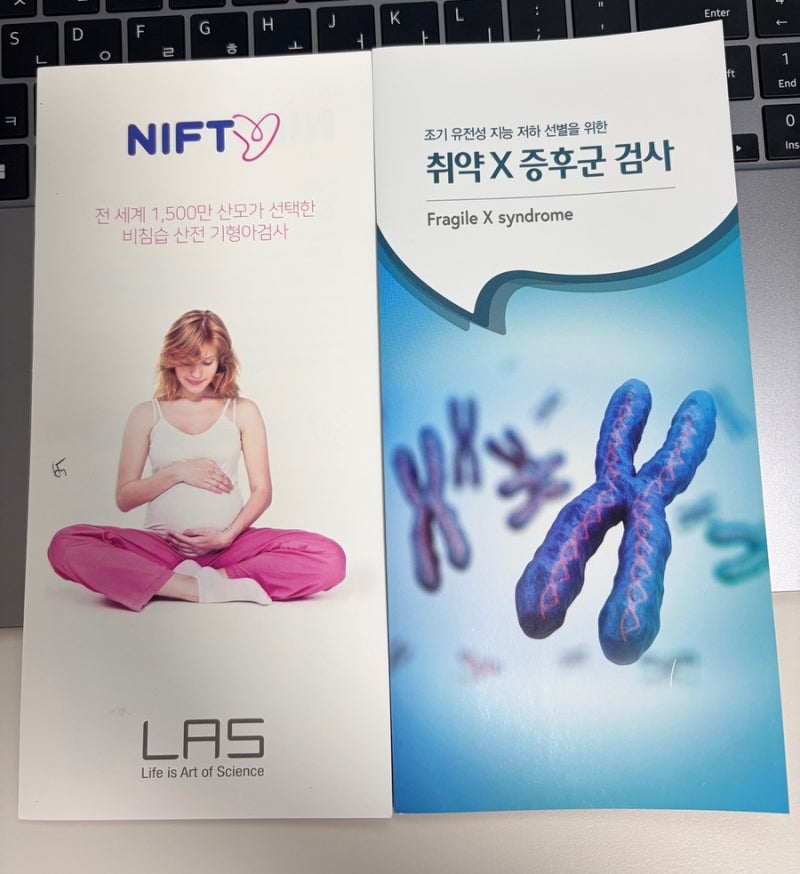 임신 11주 5일 1차 기형아검사 후기, 니프티검사와 취약X증후군 검사