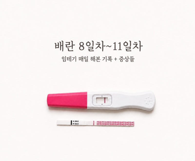 다낭성 임신준비 | 난포주사 후 배란 8일차~11일차 증상과 임테기 최종 결과