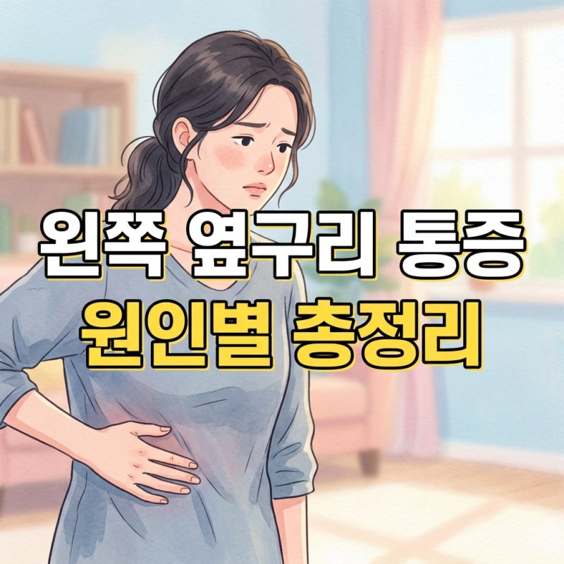 여자 왼쪽 옆구리 통증 콕콕? 아랫배통증 골반통부터 임산부 증상까지 총정리