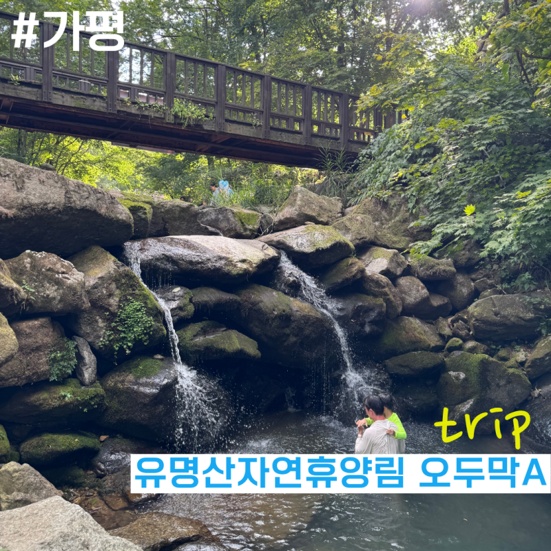 아이와 유명산자연휴양림 오두막A에서 1박2일 힐링(feat.오렌지루프계곡놀이)