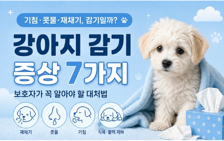 강아지 감기 증상 7가지｜기침·콧물·재채기, 감기일까?