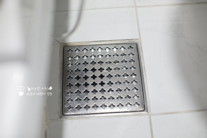 세스코 바퀴벌레 보이면? 가정집 비용 견적부터 확인