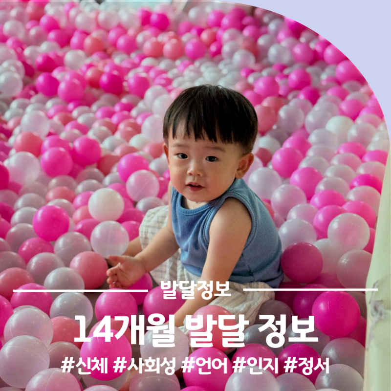 14개월 발달 정보 스케줄 신체 사회성 언어 인지 정서 총정리