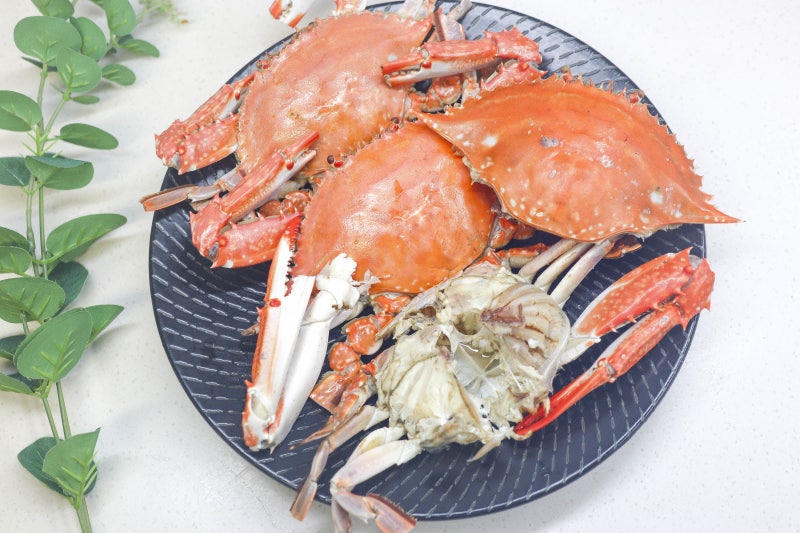 꽃게찜 하는법 시간 꽃게찌는법 생물 꽃게 손질법 꽃게요리