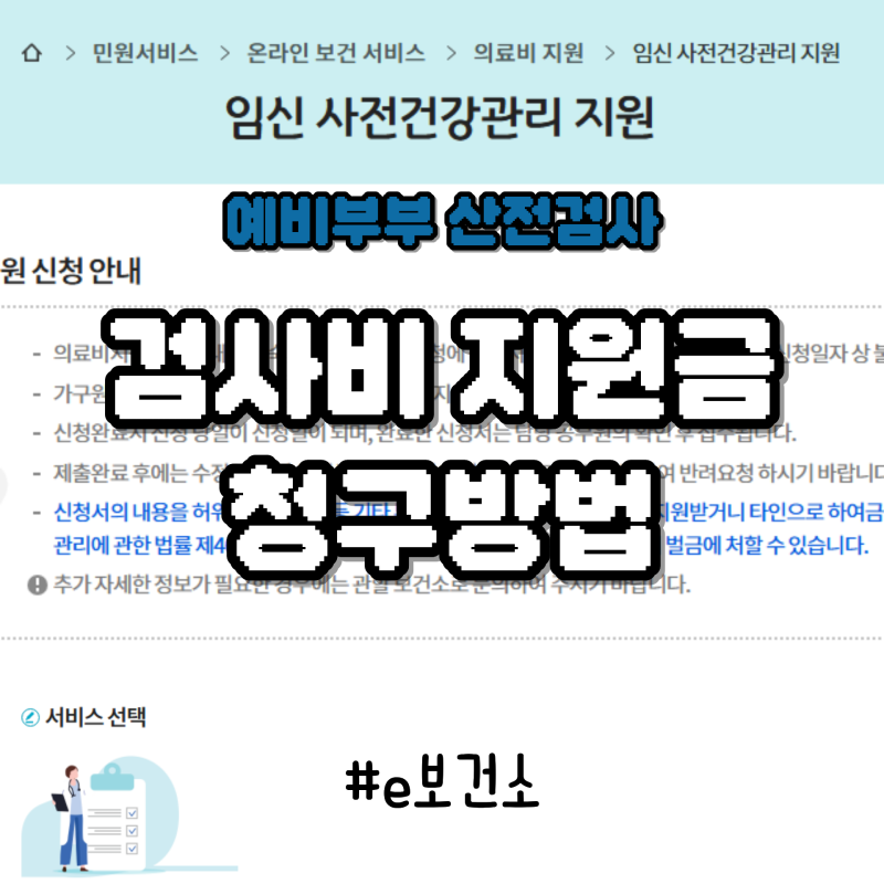 산전검사 지원금 신청방법｜e보건소 임신 사전건강관리 검사비 청구 후기