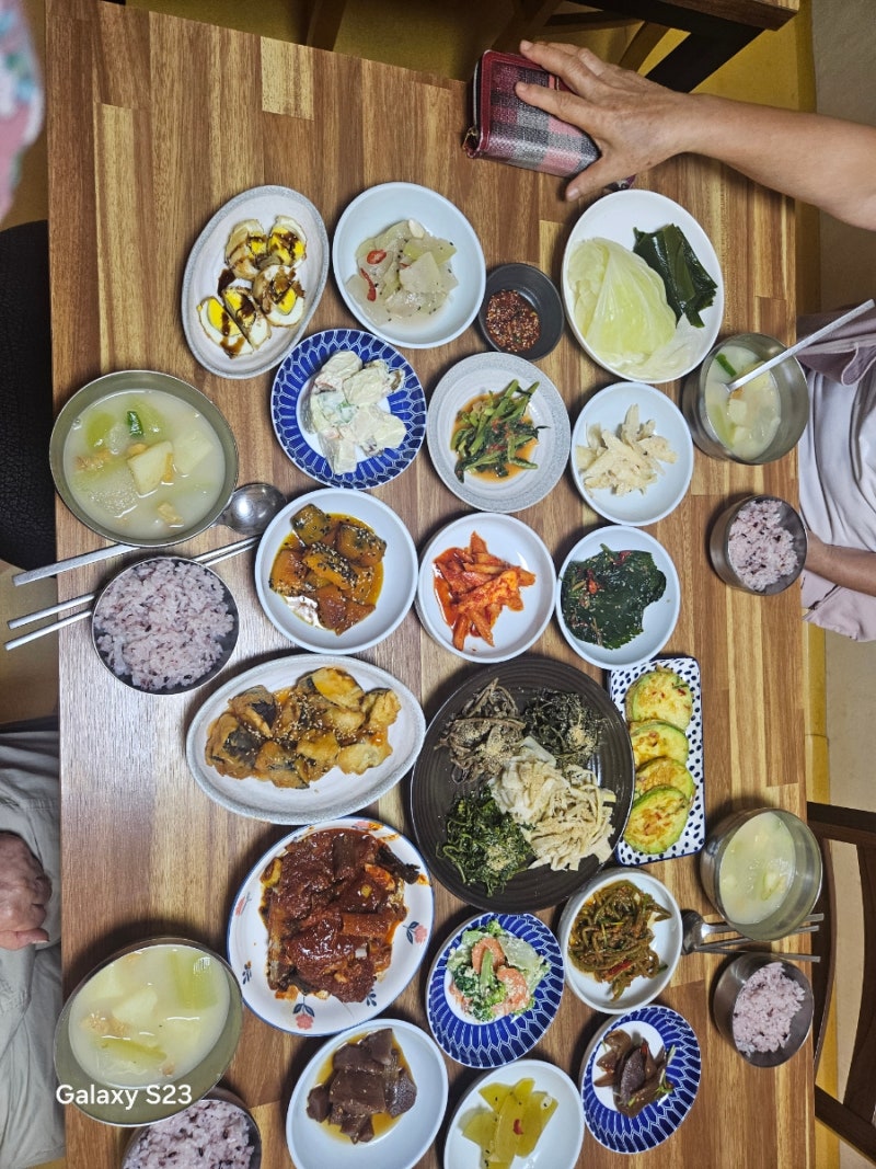 경상남도 하동여행 청학동 민박 맛집 산마을식당 1박 3식 /산채정식 조식 이야기 / 산채비빔....