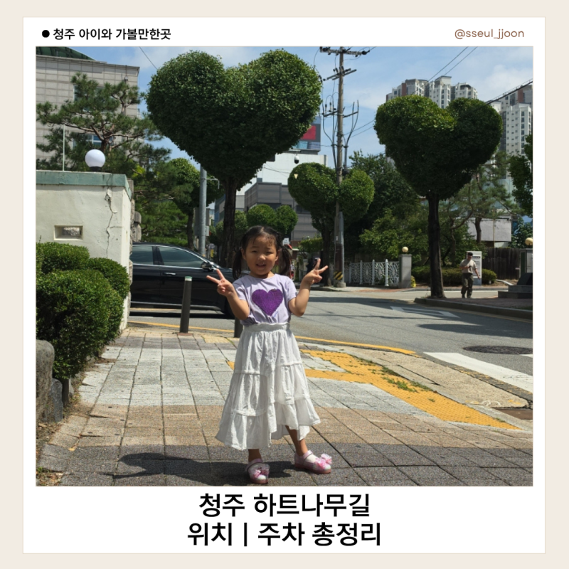 청주 가볼만한곳｜청주 하트나무길 위치·주차와 사진 잘 나오는 곳