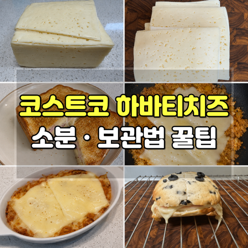 코스트코 하바티치즈 소분 냉동보관 꿀팁｜한 장씩 꺼내 쓰는 보관법과 활용법