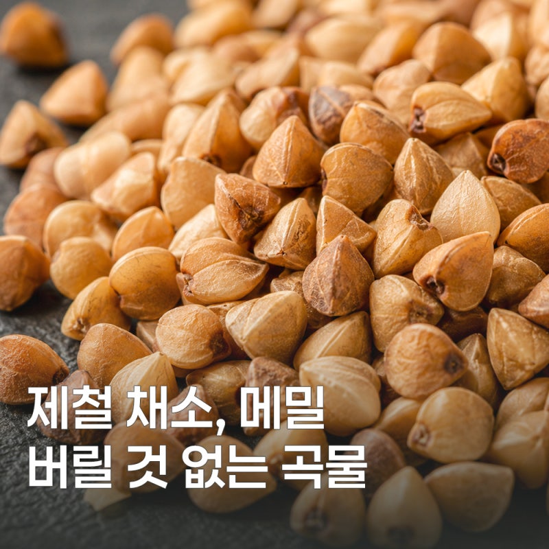 가을 제철 메밀, 효능과 먹는 법 알아보기