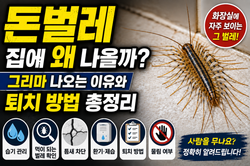 돈벌레 집에 왜 나올까? 그리마 나오는 이유와 퇴치 방법