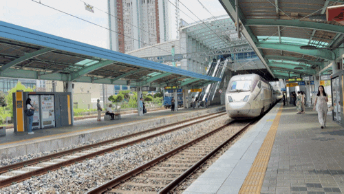 [서대전역] 서대전역KTX ↔ 수서역까지 KTX 타고 다녀온 후기｜새로 생긴 수서행 KTX 직접 타봄