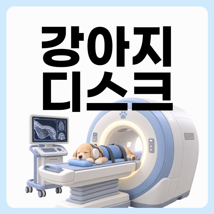 강아지 디스크 증상과 원인 '갑자기 걷지 못한다면?' MRI 검사 및 비용까지
