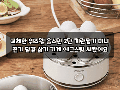 교체한 위즈웰 올스텐 2단 계란찜기 미니 전기 달걀 삶기 기계 에그스팀 써봤어요