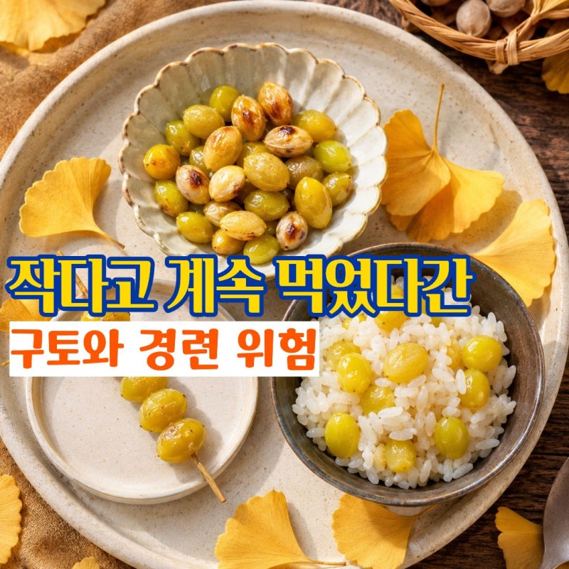 은행효능 효과 고약한 냄새 속 숨은 은행 먹는법과 하루 섭취량 부작용