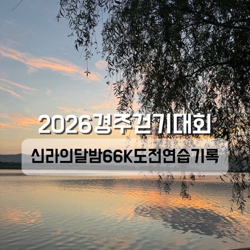 2026 경주 걷기대회 준비｜새벽 5시 태화강 걷기
