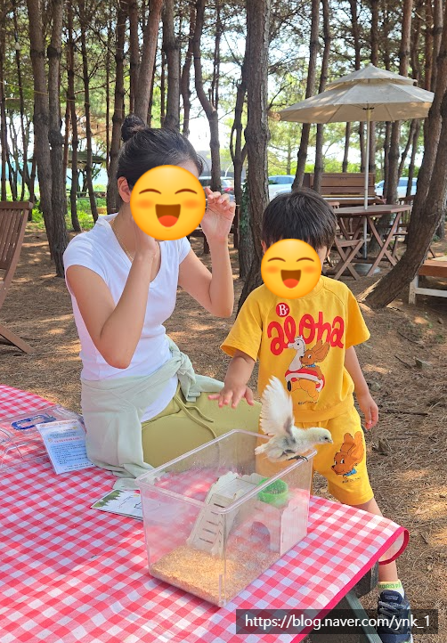 아이와 병아리 교감 체험｜김포 가농포레스트 팜크닉 후기와 김포투어패스 추천팁