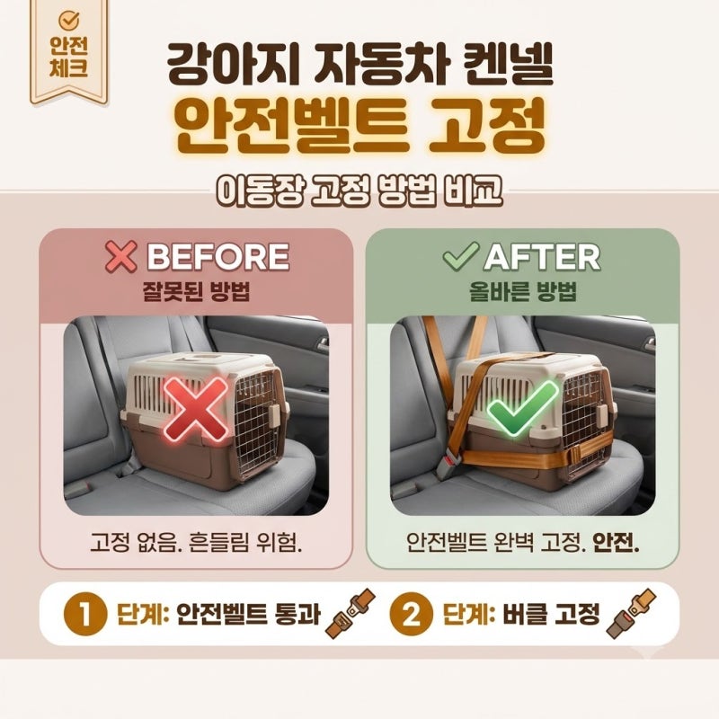 강아지 자동차 켄넬 안전벨트 고정, 장거리 이동할 때 흔들리지 않게 묶는 법