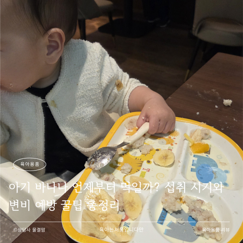 아기 바나나 언제부터 먹일까? 섭취 시기와 변비 예방 꿀팁 총정리