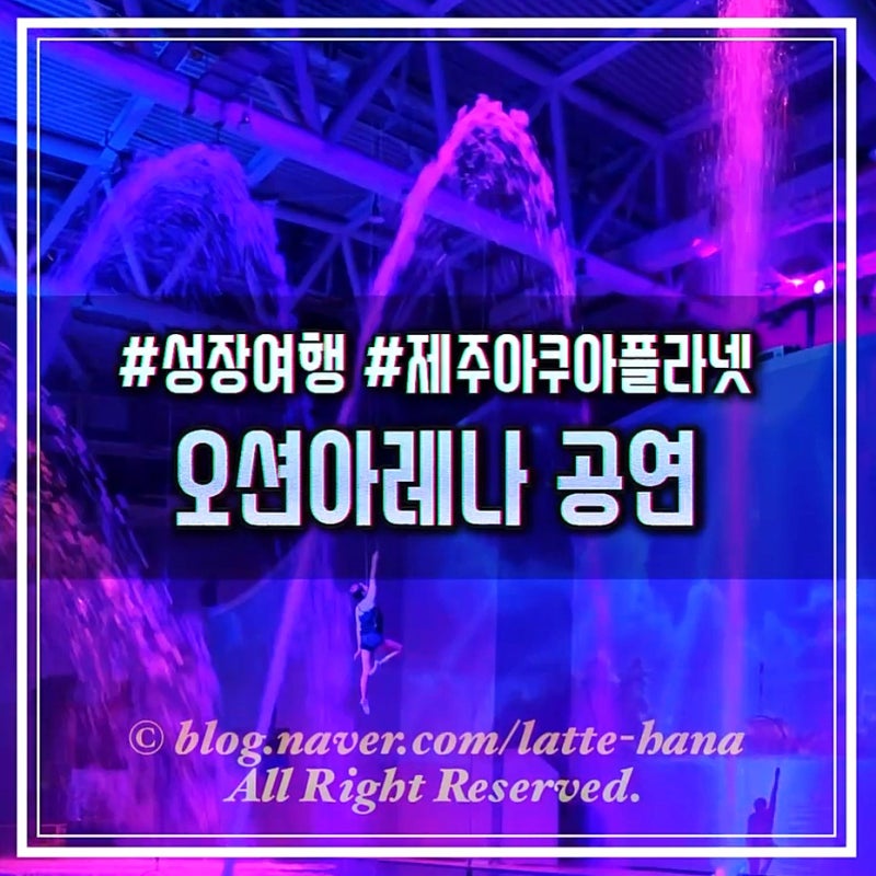 아쿠아플라넷 제주 오션아레나 공연시간·할인정보 총정리 후기