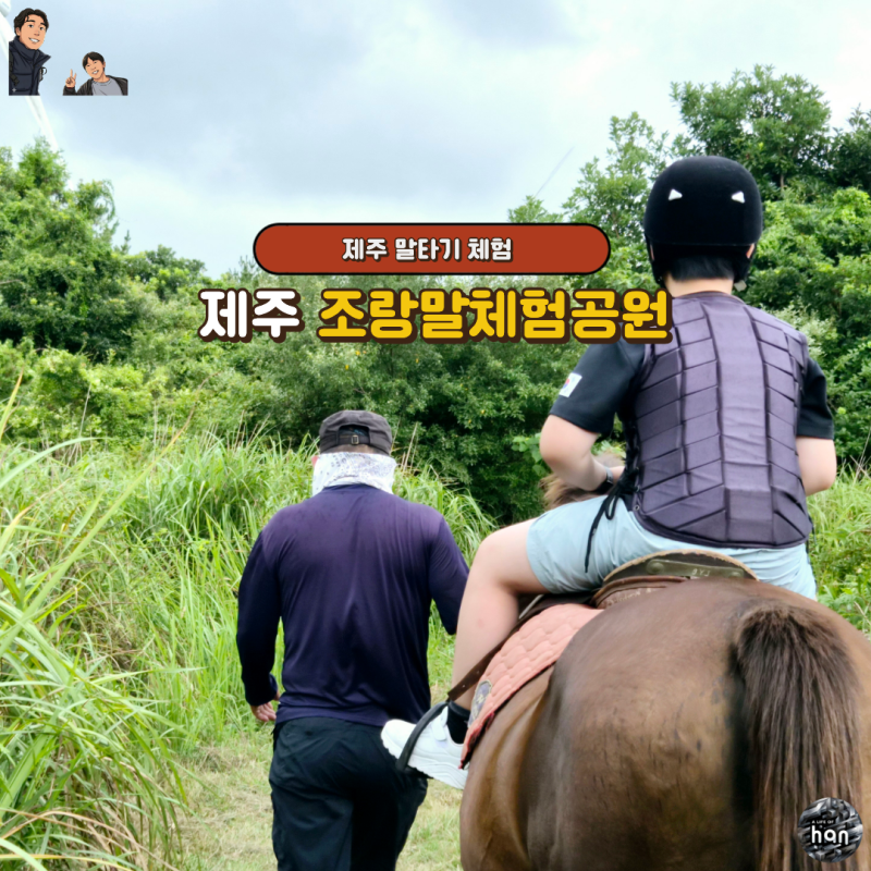제주 말타기 체험 조랑말체험공원 아이와 가기 좋은 이유