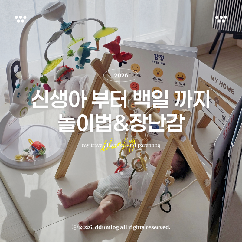 신생아 부터 100일 까지 아기 개월수별 놀이 장난감 추천 타이니모빌 아기체육관