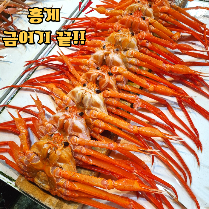 죽도시장 홍게 금어기 끝나자마자 사봤더니, 수율이 이 정도라고?