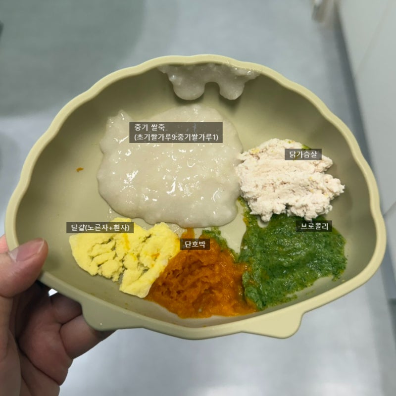 중기이유식 쌀 입자감 크기 , 중기이유식 잡곡 추천 , CHAT GPT한테 물어보기^_^ㅎ