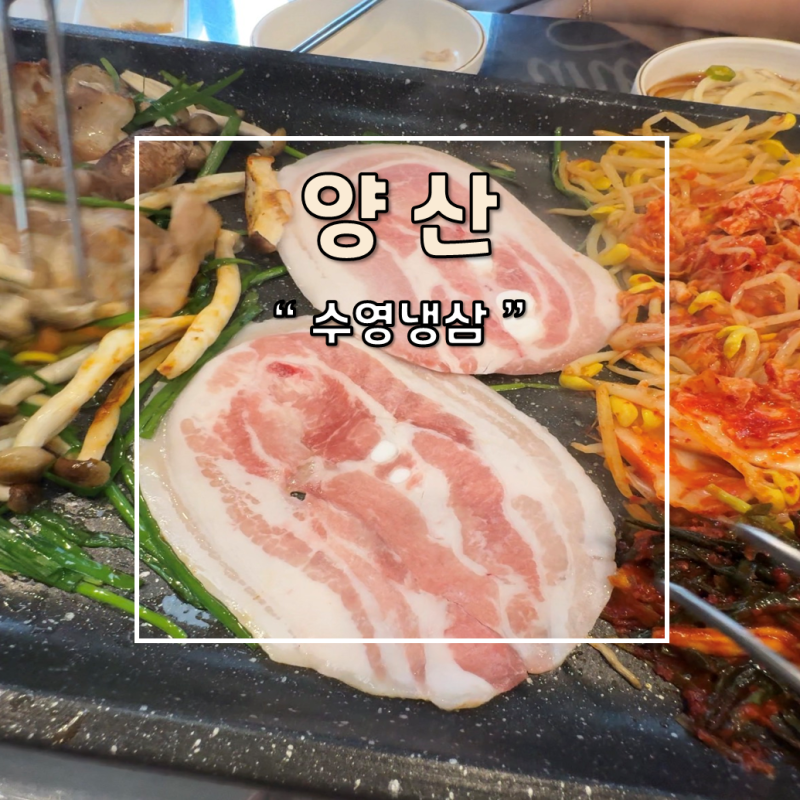 양산 범어 아는 사람들만 방문한다더 찐맛집 외식 회식장소 수영냉삼 대추천