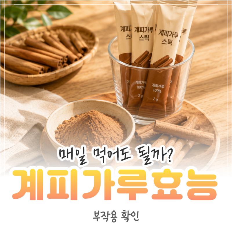 계피가루 효능, 매일 먹어도 될까? 부작용까지 정리