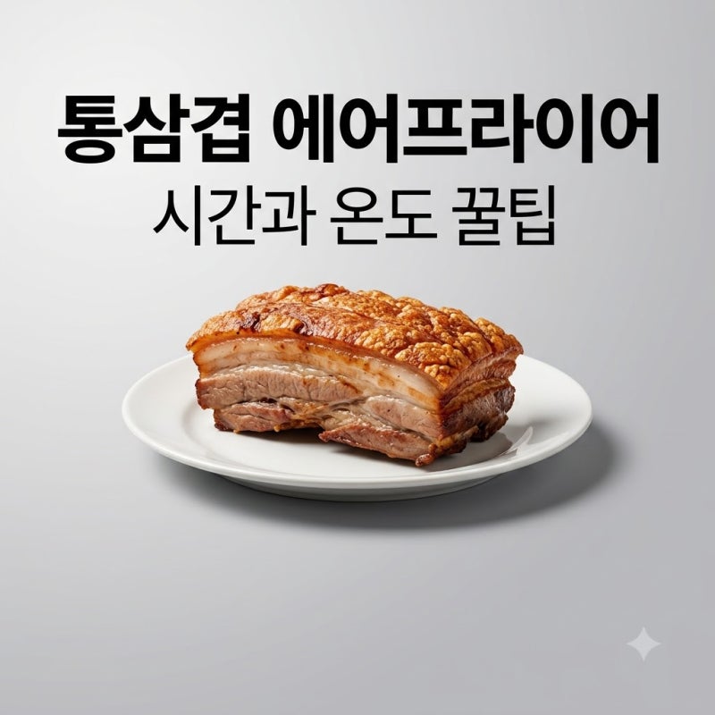 에어프라이어 통삼겹 시간 온도 총정리! 기름 없이 겉바속촉 완성하는 법