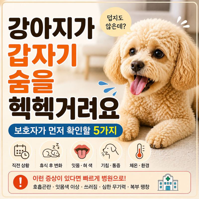 강아지가 갑자기 숨을 헐떡여요, 덥지도 않은데 헥헥거린다면 확인할 5가지