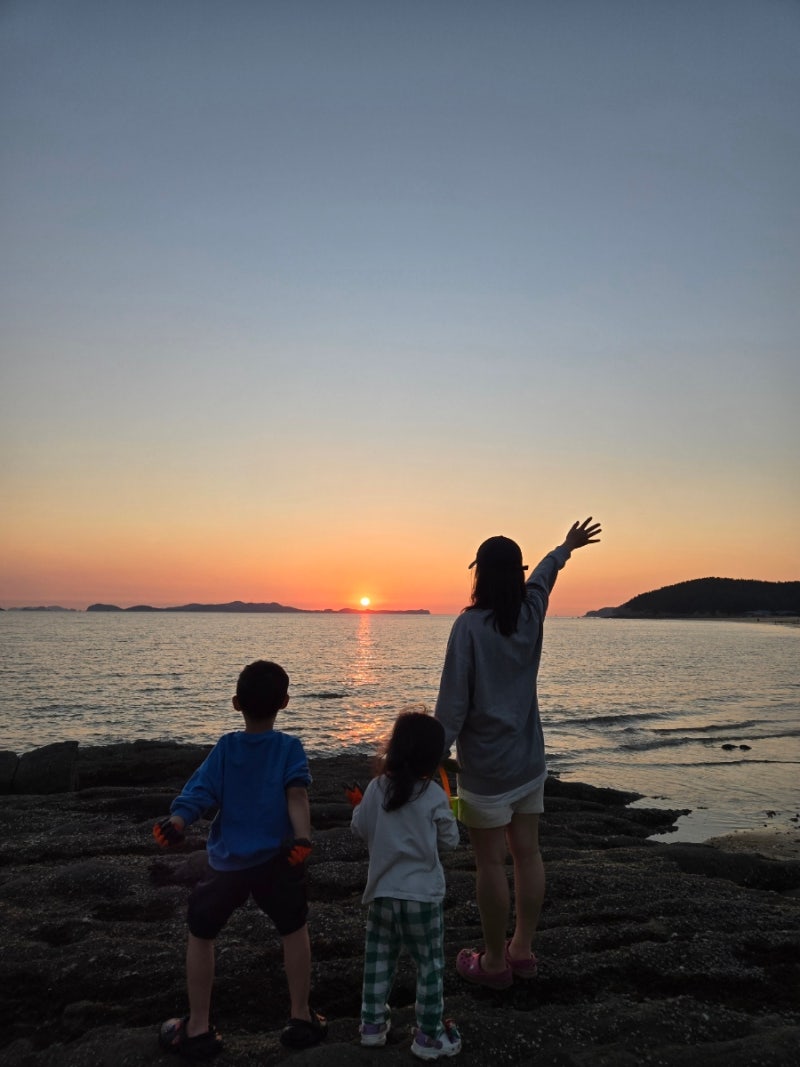 [보령 원산도] 소록도야영장 가을캠핑 후기 총정리 (예약·이용안내)