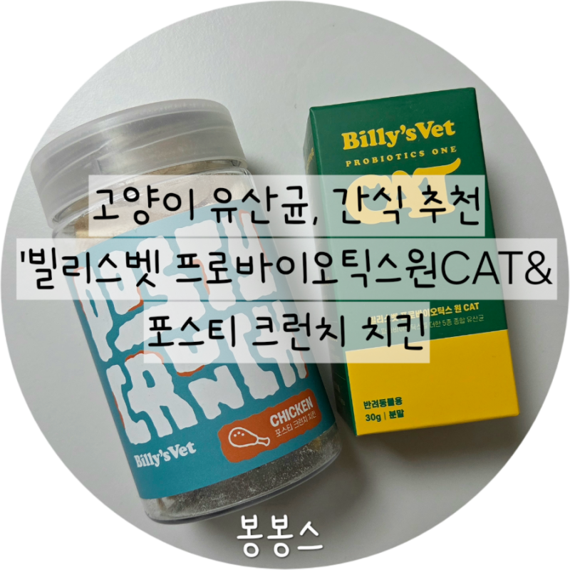 고양이 유산균 추천, 맛있게 먹고 예쁜 똥 싸는 법! 빌리스벳 CAT 유산균 & 동결건조 치킨 솔직....