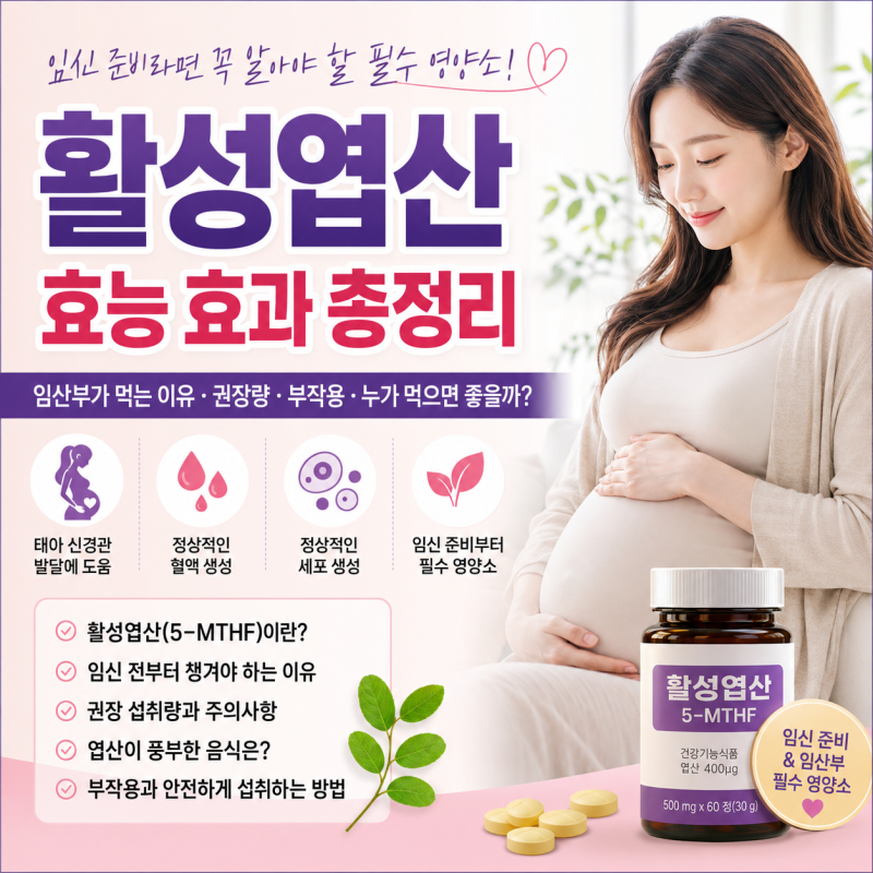 활성엽산 효능 효과 총정리｜임산부가 먹는 이유·권장량·부작용·누가 먹으면 좋을까?