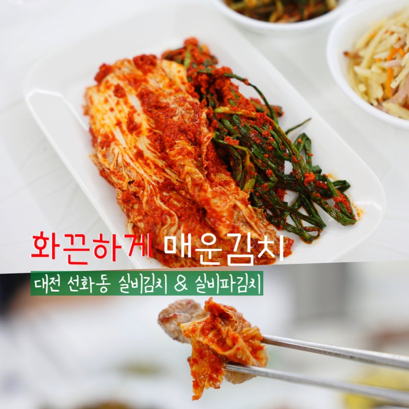 요즘 난리 난 선화동 매운김치 대전실비김치 별미 실비파김치까지 솔직 후기